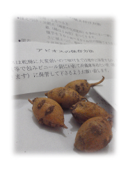 アピオス