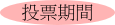 投票期間