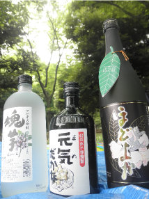 アピオス焼酎