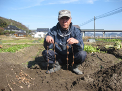 いなば山彩の郷