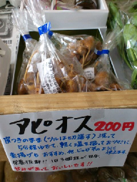 買ったよ