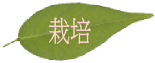 AsIXĂĂ݂